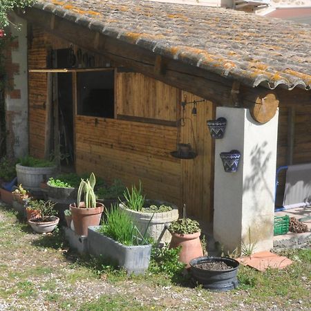 La Ferme De Tonton Jules 2 Hotel Entraigues-sur-la-Sorgue ภายนอก รูปภาพ