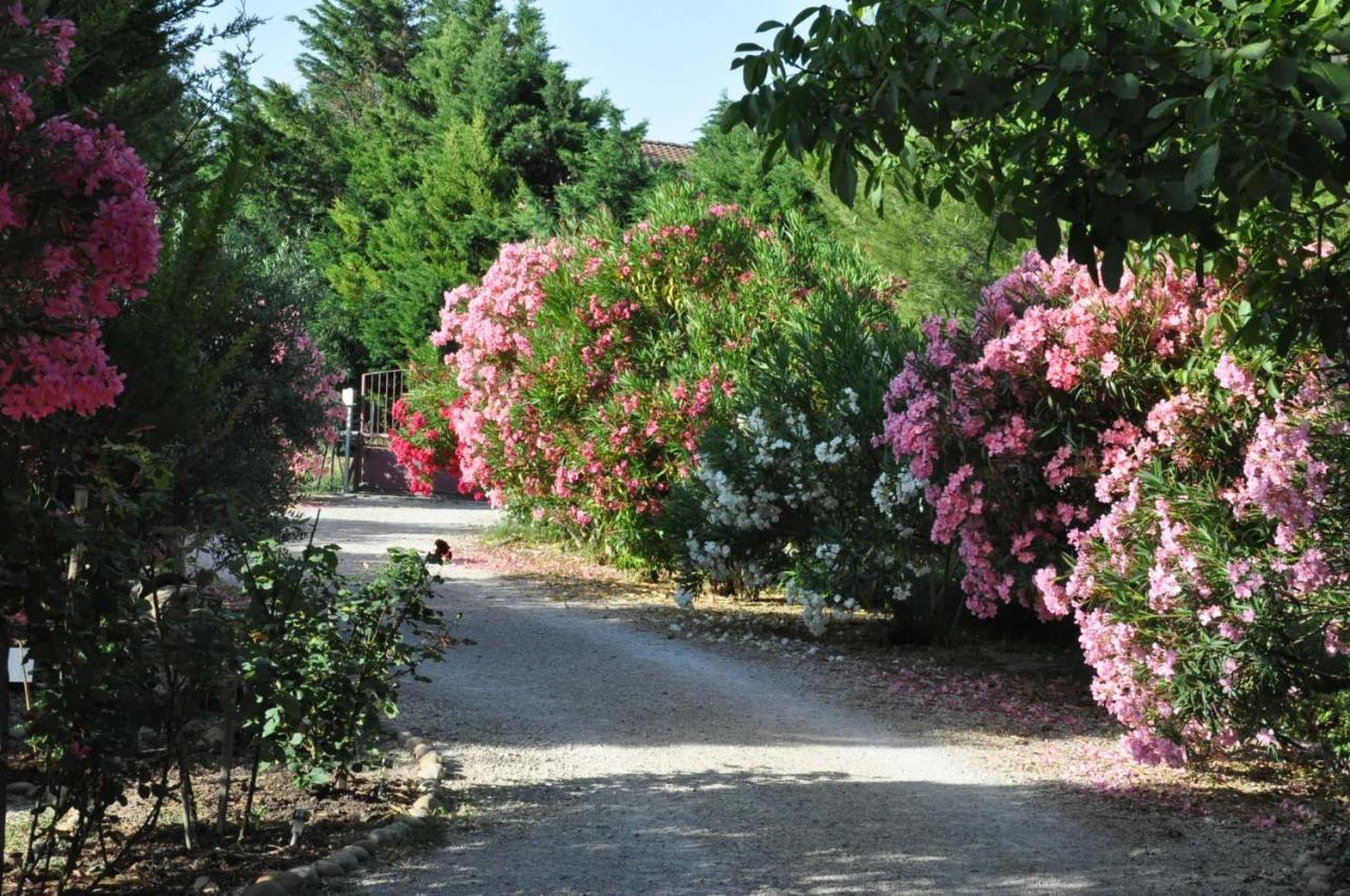 La Ferme De Tonton Jules 2 Hotel Entraigues-sur-la-Sorgue ภายนอก รูปภาพ